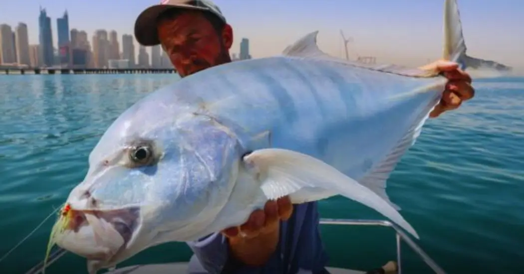Sports Fishing in Dubai
